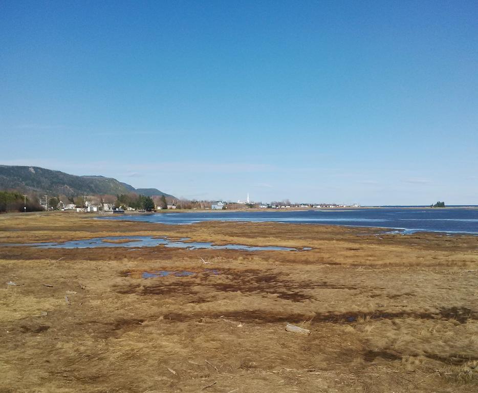 Gite Des Oiseaux Migrateurs Νουβέλ Εξωτερικό φωτογραφία