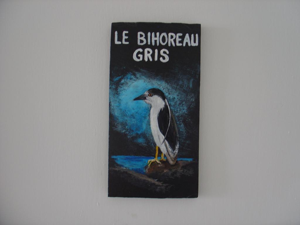 Gite Des Oiseaux Migrateurs Νουβέλ Εξωτερικό φωτογραφία
